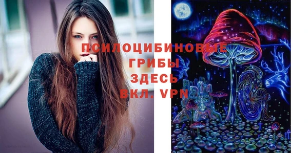 трава Дмитров