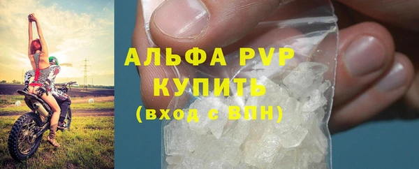 прущие грибы Галич