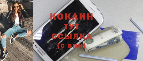 прущие грибы Галич