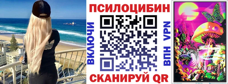 Псилоцибиновые грибы GOLDEN TEACHER  OMG как зайти  Зеленокумск  сколько стоит 