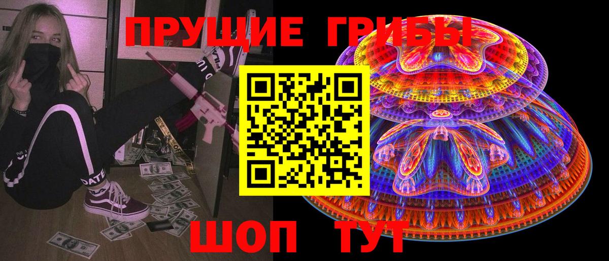 где можно купить наркотик  Вход с VPN  Галлюциногенные грибы Psilocybine cubensis  Зеленокумск  Галлюциногенные грибы Cubensis 