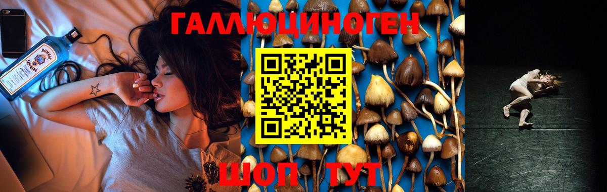 Псилоцибиновые грибы ЛСД Зеленокумск